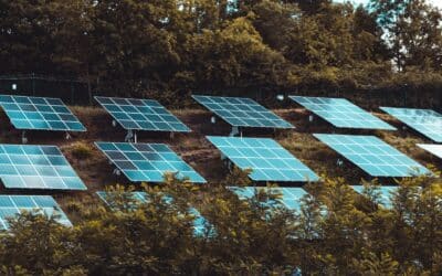 Panneaux solaires gratuits en Flandre : Vrai ou faux ?
